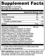 FOCUS MŌDO Mushroom Gummies